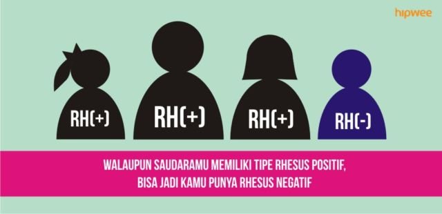 10 Fakta Pentingnya Tahu Tipe Rhesus Darah Kalian, Bukan Cuma Golongan Darah ABO Doang