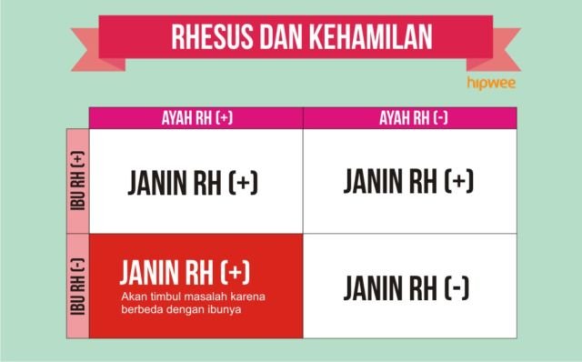 10 Fakta Pentingnya Tahu Tipe Rhesus Darah Kalian, Bukan Cuma Golongan Darah ABO Doang