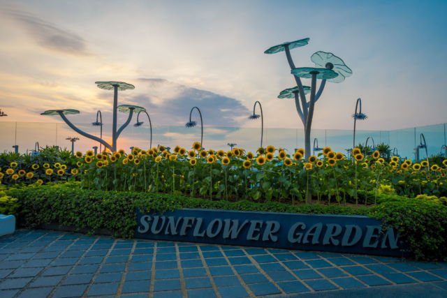 6 Rahasia Changi Airport Jadi Bandara Terbaik Di Dunia. Wah, Bisa Jadi Destinasi Wisata Sendiri Ini Sih