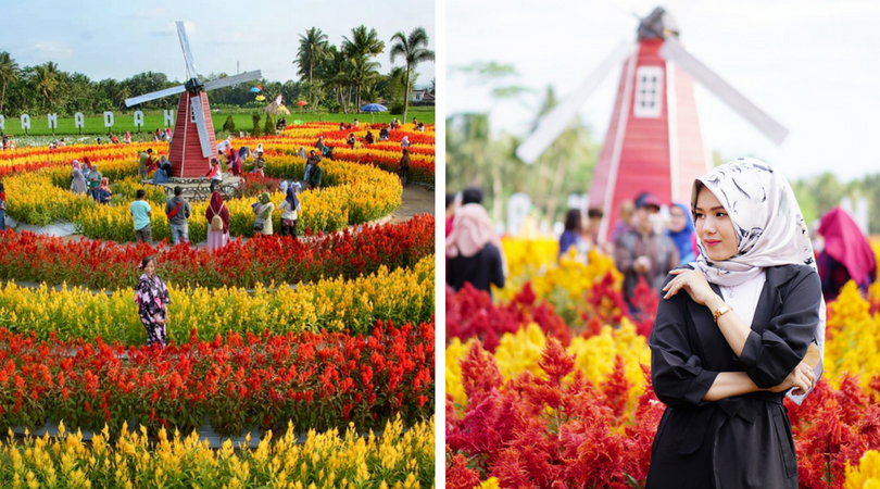 Taman Ramadanu Magelang, Destinasi Wisata Bunga Kekinian yang Bikin Enggan Pulang