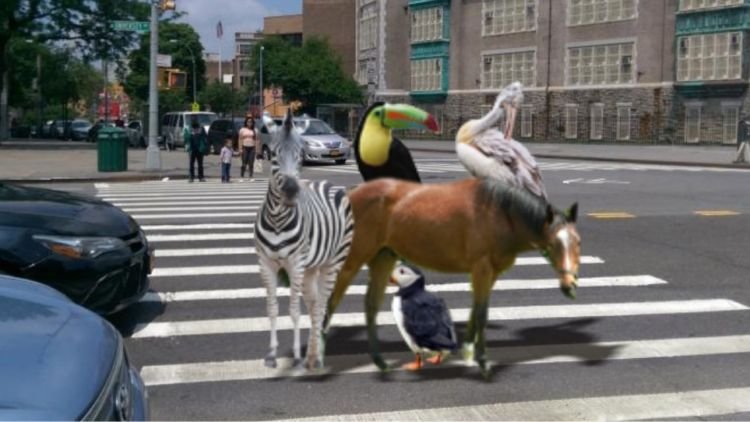 Bukan Zebra dan Pelican Cross Aja, Ini 7 Jenis Penyebrangan Jalan Lain. Uniknya Semua Nama Hewan Lho