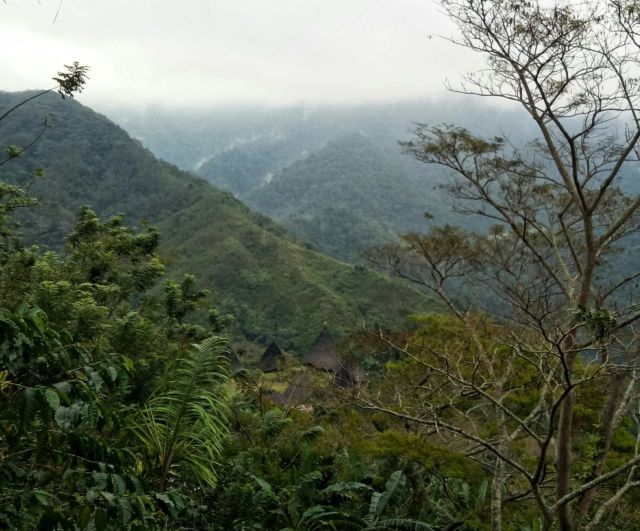 Sensasi Menginap di Negeri Dongeng Wae Rebo, Flores. Begini Panduan Berlibur ke Sana!