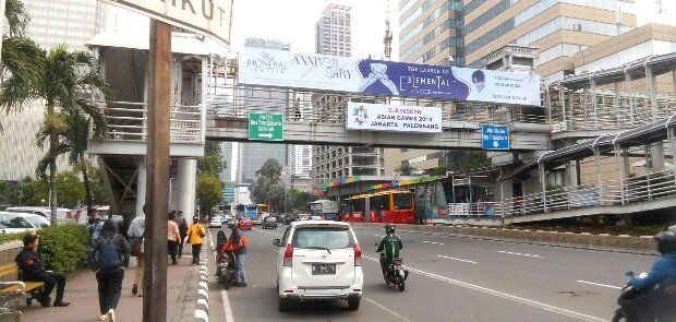 Bukan Zebra dan Pelican Cross Aja, Ini 7 Jenis Penyebrangan Jalan Lain. Uniknya Semua Nama Hewan Lho