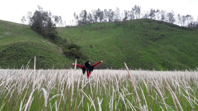 Kawah Ilalang