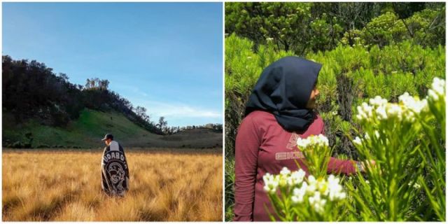 Padang Sabana di Gunung Buthak