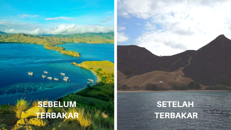 Tragis, Gili Lawa di TN Komodo Hangus Terbakar. Pulau Indah Nan Hijau Berubah Jadi Hitam!