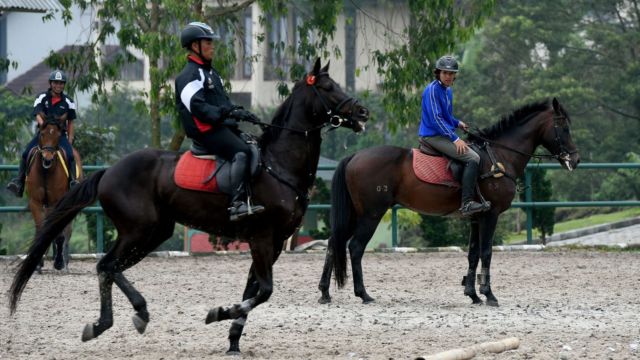 14 Cabang Olahraga di Asian Games 2018 yang Namanya Asing di Telinga. Pernah Dengar?