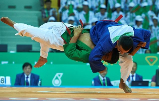 Perbedaan Seni Bela Diri yang Dilombakan di Asian Games 2018. Pahami, Biar Tambah Asyik Nontonnya