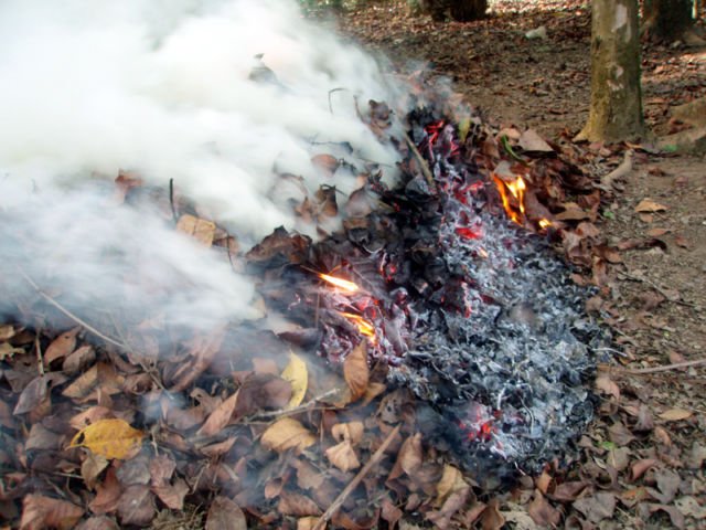 Ini Alasan Kenapa Kita Harus Beneran Stop Bakar Sampah. Selain Bahaya, Bisa Bikin Masuk Bui Juga