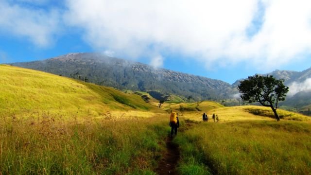 Padang Savana