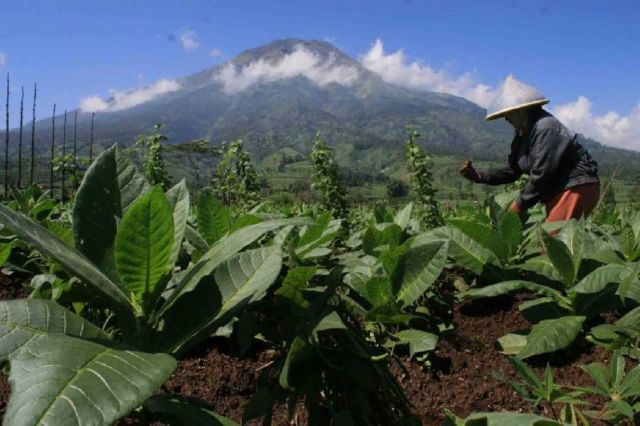 Selalu Percaya Bahwa Negara Kita Kaya Sumber Daya Alam itu Bahaya. Cek Dulu Faktanya Sekarang!