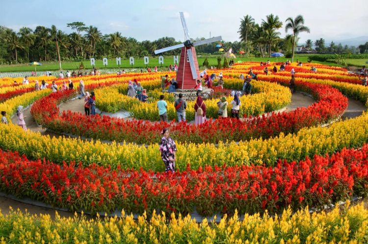 Taman Ramadanu Magelang, Destinasi Wisata Bunga Kekinian yang Bikin Enggan Pulang