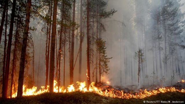 12 Potret Cuaca Esktrem Dunia yang Terjadi Saat Ini. Dari Dieng Beku, Sampai Tornado Api di Inggris