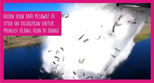 Dari Roy Suryo Ditagih Kembalikan Karpet sampai Seleksi CPNS. Inilah 15 Berita Populer Minggu Ini