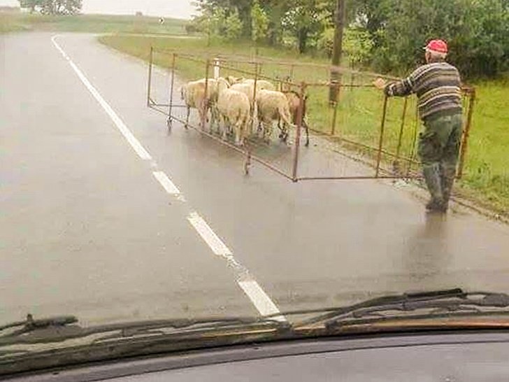 Cowok Emang Bisa Diandalkan dalam Segala Hal. Tapi 15 Foto Bukti ini Malah Bikin Sedap-Sedap Ngeri~