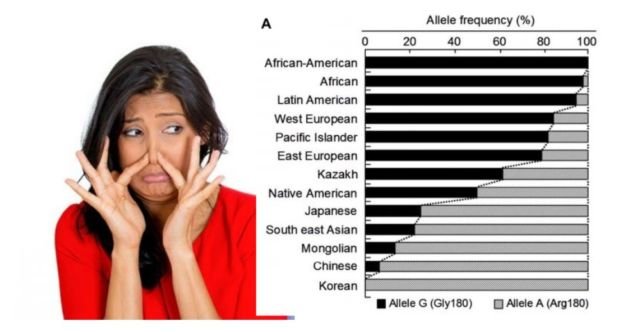 5 Alasan Kenapa Orang Asia Timur Nggak Bau Meski Tidak Pernah Pakai Deodoran. Terutama Korea Selatan