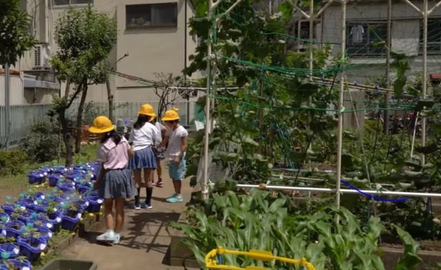 12 Fakta Betapa Spesialnya Tradisi Makan Siang di Jepang. Tiap Sekolah Punya Dapur Sekelas Hotel Lho