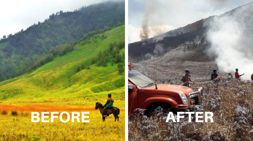 Destinasi Wisata yang Terbakar Kembali Bertambah. Terbaru, Bukit Teletubbies di Bromo Juga Gosong!