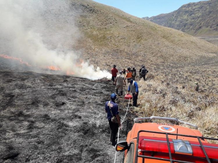 Destinasi Wisata yang Terbakar Kembali Bertambah. Terbaru, Bukit Teletubbies di Bromo Juga Gosong!