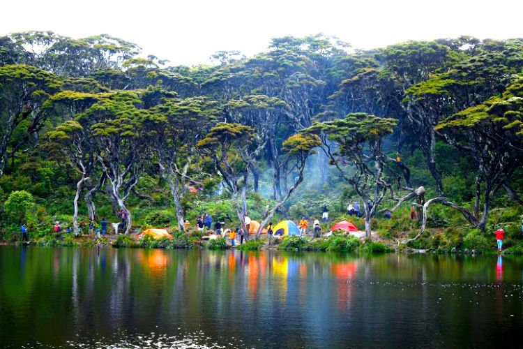 Pendaki yang Kelelahan di Gunung Singgalang Justru Dicabuli Temannya Sendiri. Kok Tega Banget Sih!