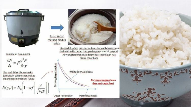 8 Trik Menanak Nasi di Rice Cooker Agar Pulen dan Nggak Gampang Basi