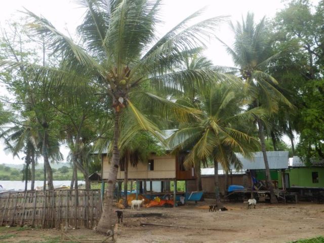 Pengalaman Seru Tinggal di Pulau Pribadi. Kerjaannya Cuma Berenang, Berjemur dan Santai di Pantai