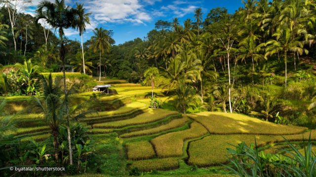 View dari Bukit Jambul