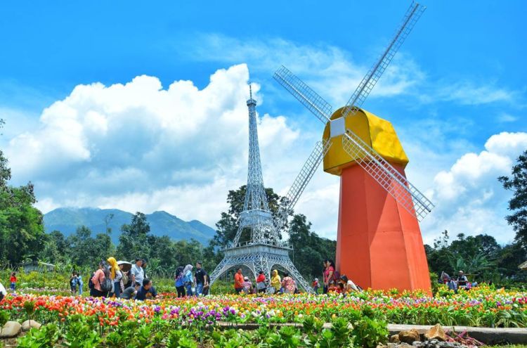 Taman Celosia Bandungan, Destinasi Warna-Warni di Semarang yang Memanjakan Mata!