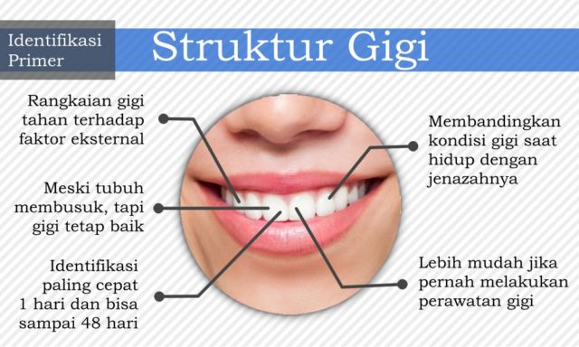 7 Cara Identifikasi Jenazah yang Bisa Diupayakan untuk Kenali Korban. Dari Gigi, DNA, Hingga Tato