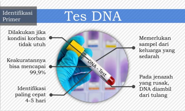 7 Cara Identifikasi Jenazah yang Bisa Diupayakan untuk Kenali Korban. Dari Gigi, DNA, Hingga Tato