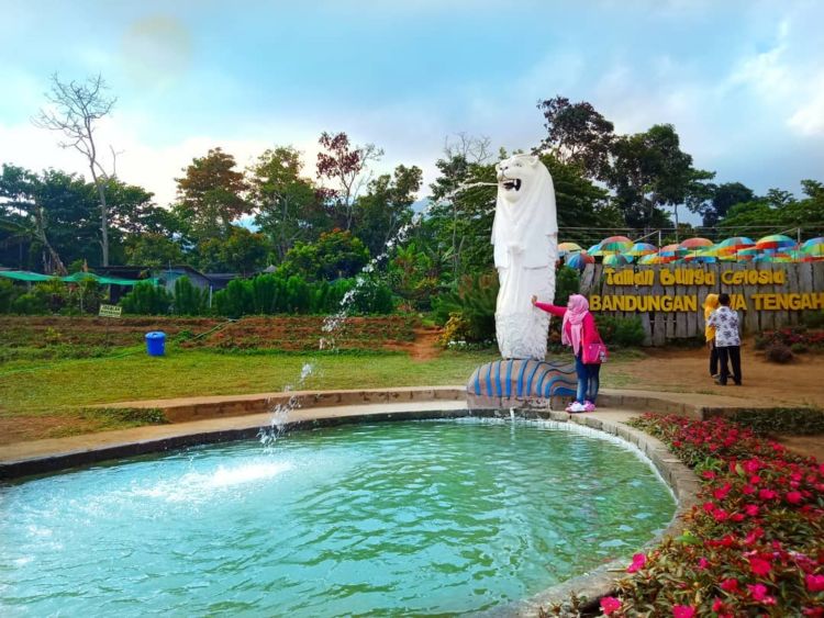 Taman Celosia Bandungan, Destinasi Warna-Warni di Semarang yang Memanjakan Mata!