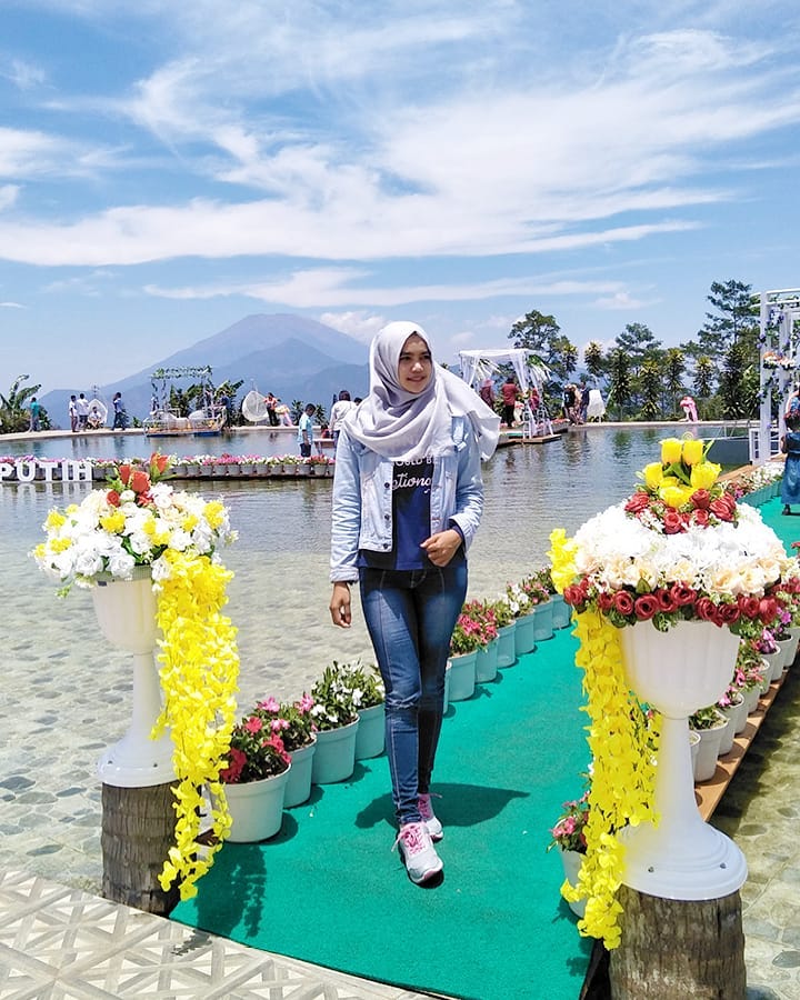 Taman Celosia Bandungan, Destinasi Warna-Warni di Semarang yang Memanjakan Mata!