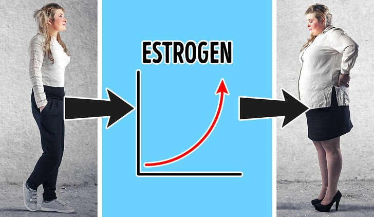 8 Hormon yang Paling Ngaruh ke Berat Badan. Tenang, Bisa Dikendalikan!