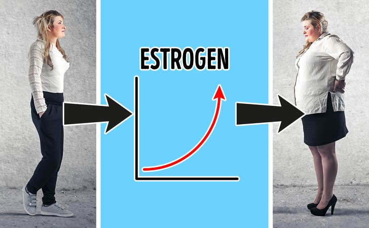 8 Hormon yang Paling Ngaruh ke Berat Badan. Tenang, Bisa Dikendalikan!