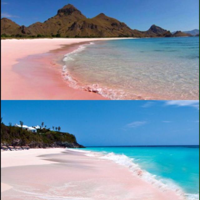 pink beach