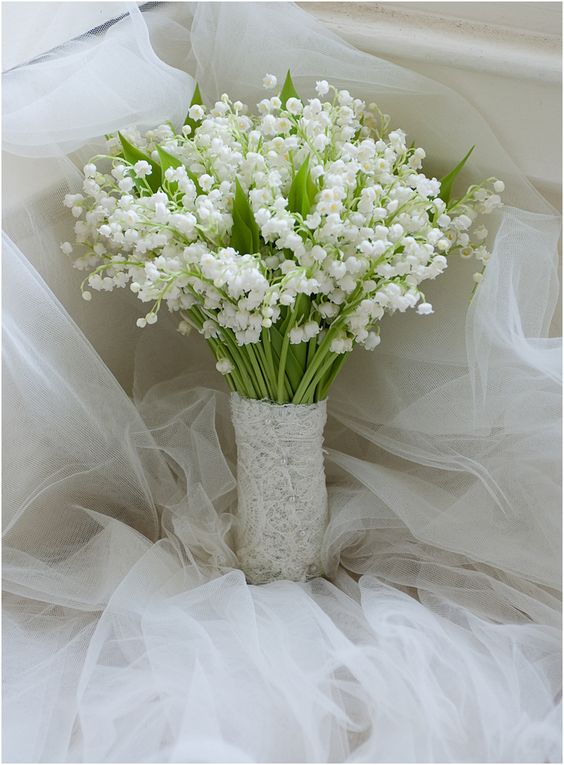 lily of the valey