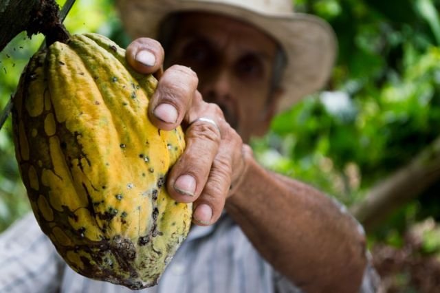 7 Bahan Makanan Otentik yang Bikin Orang Luar Negeri Iri Sama Indonesia. Kamu Harus Bangga!