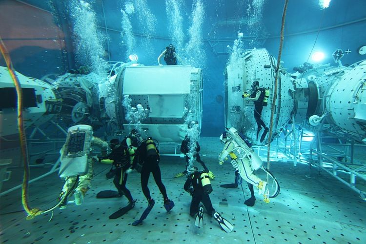 Sering Jadi Cita-cita Masa Kecil, Ternyata Ini Lho 5 Syarat Penting Buat Jadi Astronot