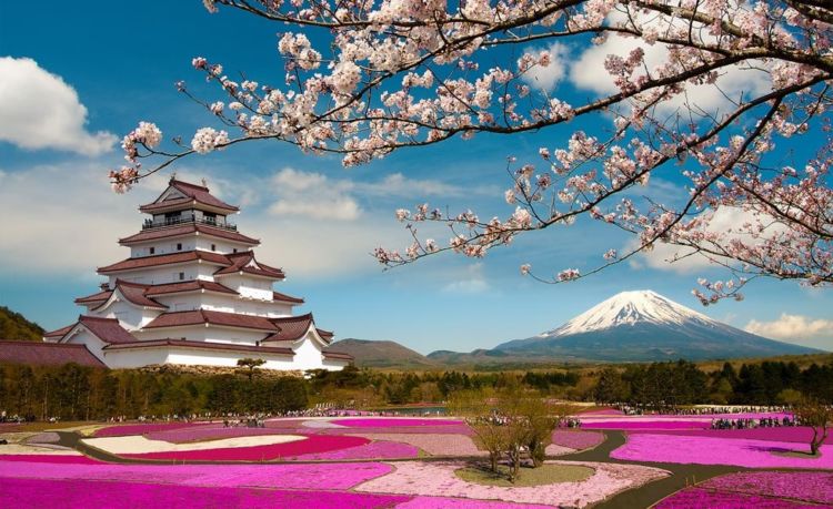 Panduan Praktis Bikin Visa ke Jepang. Biar Liburan ke Negeri Sakura Tak Sekedar Angan Belaka!