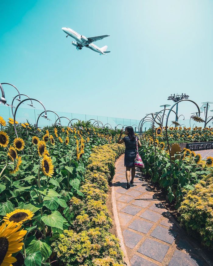 Foto-Foto Kemewahan Bandara Changi, Singapura, Ini Bakal Bikin Kamu Berdecak Kagum!