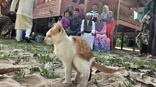 Kata Siapa Foto Bareng itu Gampang? 11 Gangguan ini Sering Terjadi lo, Tapi Malah Bikin Ngakak