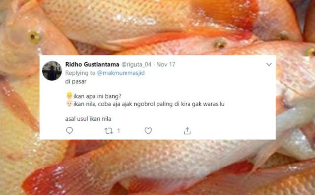 12+ Sejarah Asal Usul Nama Ikan Versi Warganet Twitter. Orang Awam mah Pasti Nggak Pernah Kepikiran!