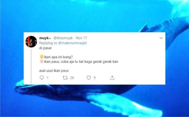 12+ Sejarah Asal Usul Nama Ikan Versi Warganet Twitter. Orang Awam mah Pasti Nggak Pernah Kepikiran!