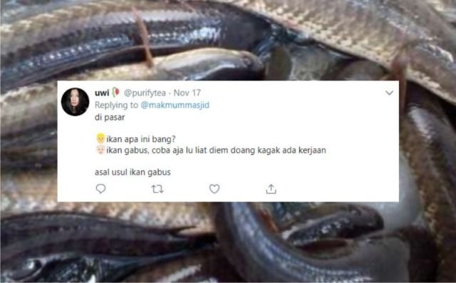 12+ Sejarah Asal Usul Nama Ikan Versi Warganet Twitter. Orang Awam mah Pasti Nggak Pernah Kepikiran!