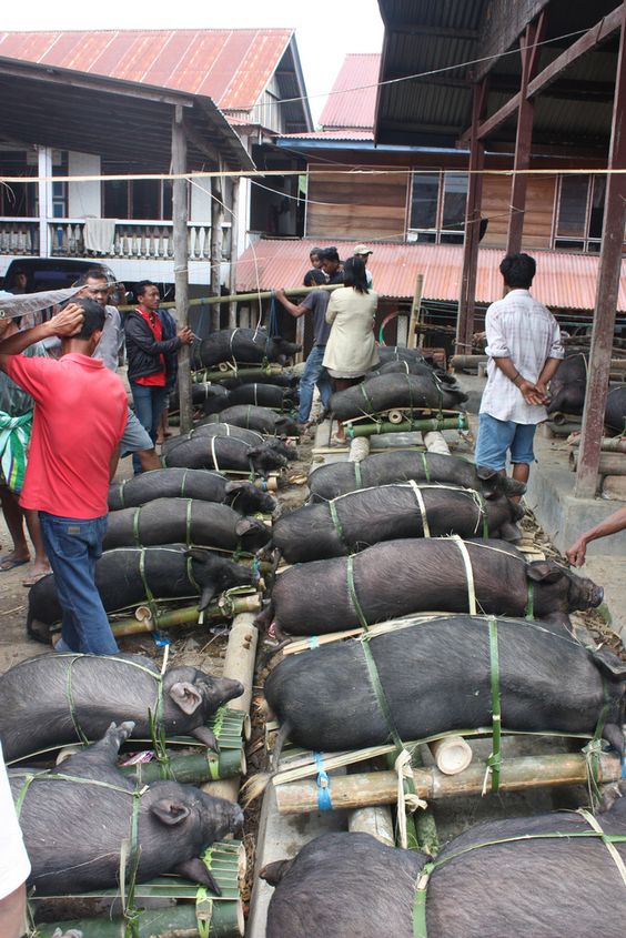 Pasar Bolu (Tana Toraja, Indonesia)