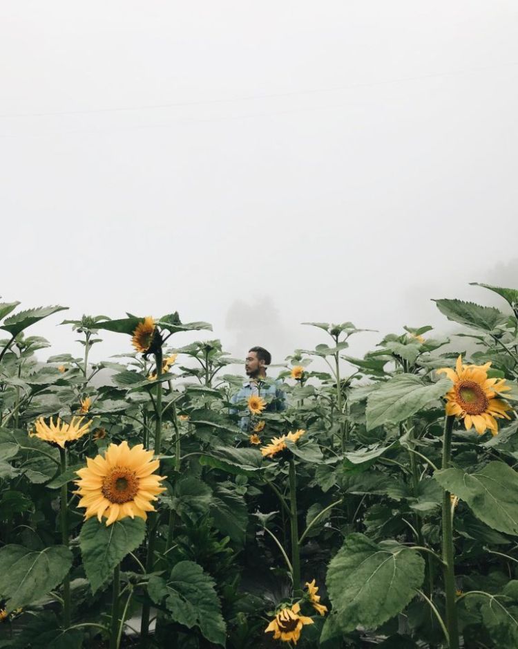 8 Destinasi Instagramable di Boyolali yang Bikin Jatuh Hati. Kapan Kamu Liburan ke Sini?