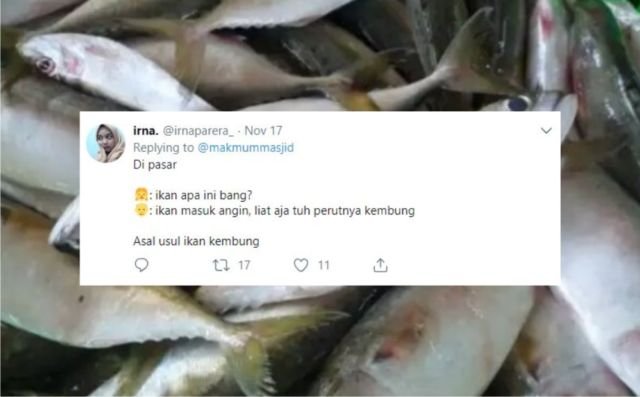 12+ Sejarah Asal Usul Nama Ikan Versi Warganet Twitter. Orang Awam mah Pasti Nggak Pernah Kepikiran!