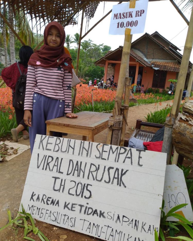 Taman Bunga Amarilis di Jogja Mekar Lagi. Datang dan Foto-Foto Boleh, Ngerusak Jangan!