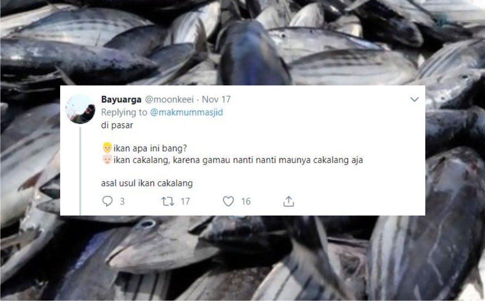 12+ Sejarah Asal Usul Nama Ikan Versi Warganet Twitter. Orang Awam mah Pasti Nggak Pernah Kepikiran!