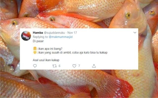 12+ Sejarah Asal Usul Nama Ikan Versi Warganet Twitter. Orang Awam mah Pasti Nggak Pernah Kepikiran!